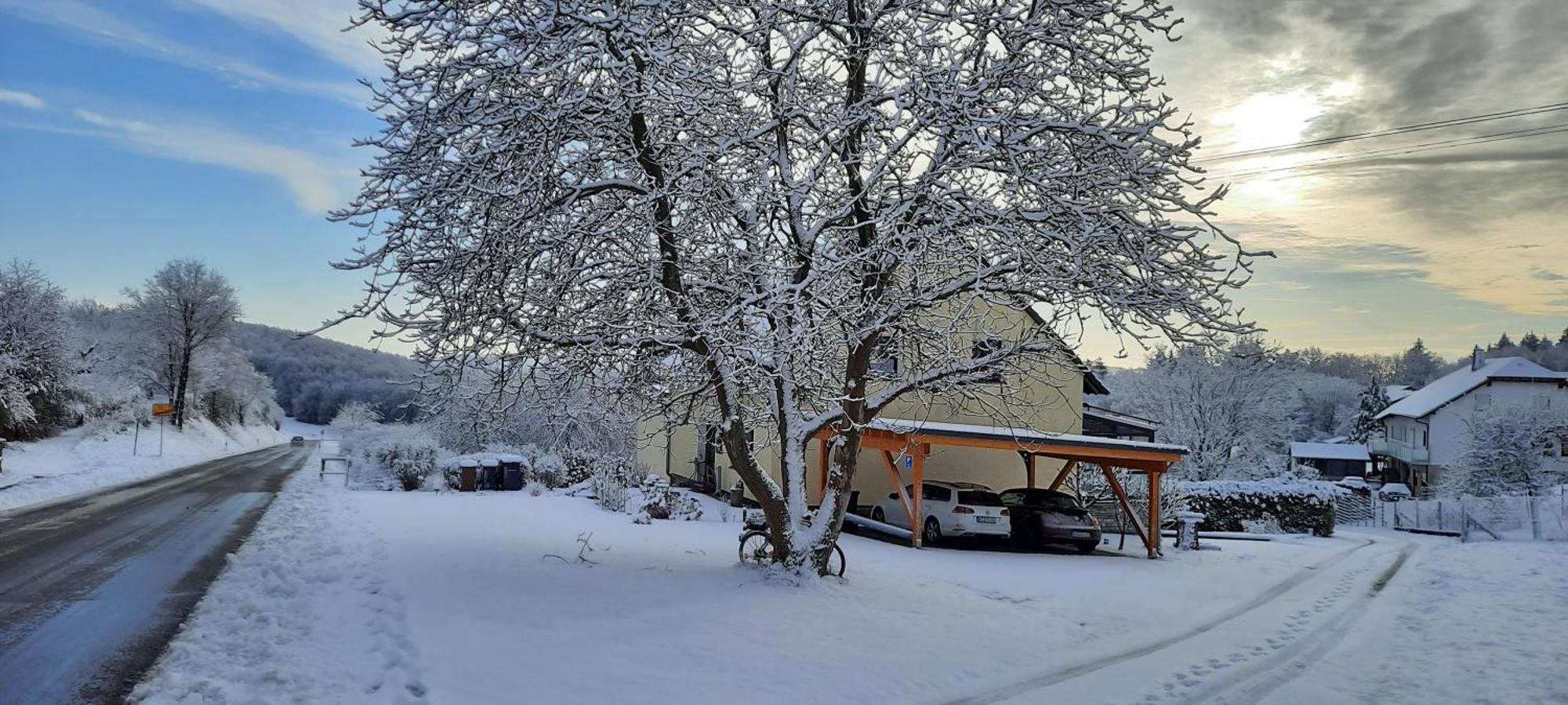 Ferienwohnung Tine Oberhausen bei Kirn Экстерьер фото